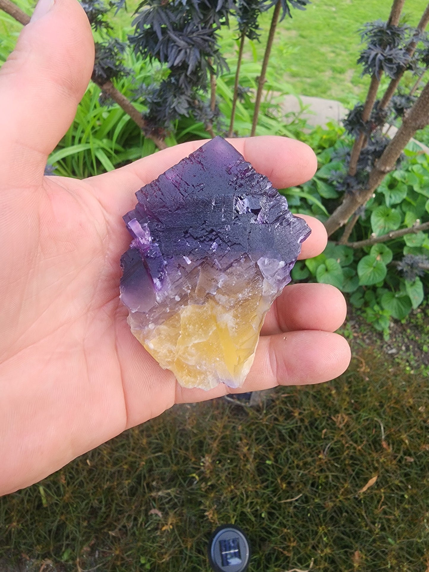 Cave-in-Rock Fluorite Crystal from Lead Hill, Hardin County, Illinois