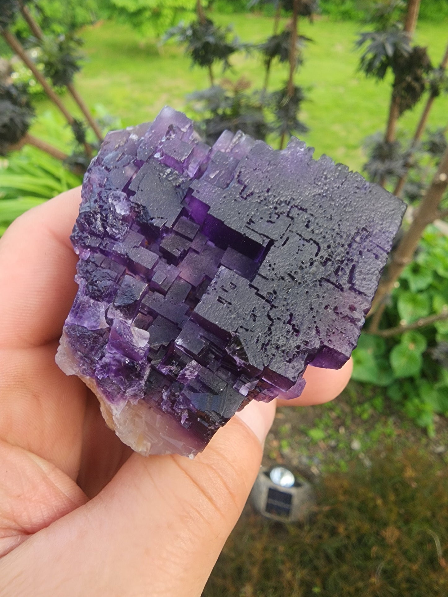 Cave-in-Rock Fluorite Crystal from Lead Hill, Hardin County, Illinois