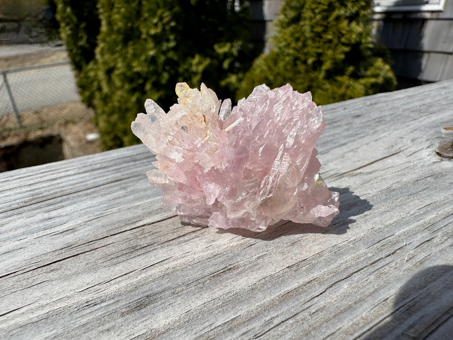 Elestial Rose Quartz Cluster from Brazil