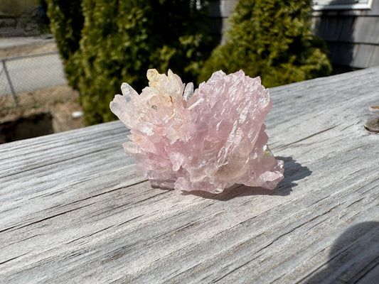 Elestial Rose Quartz Cluster from Brazil
