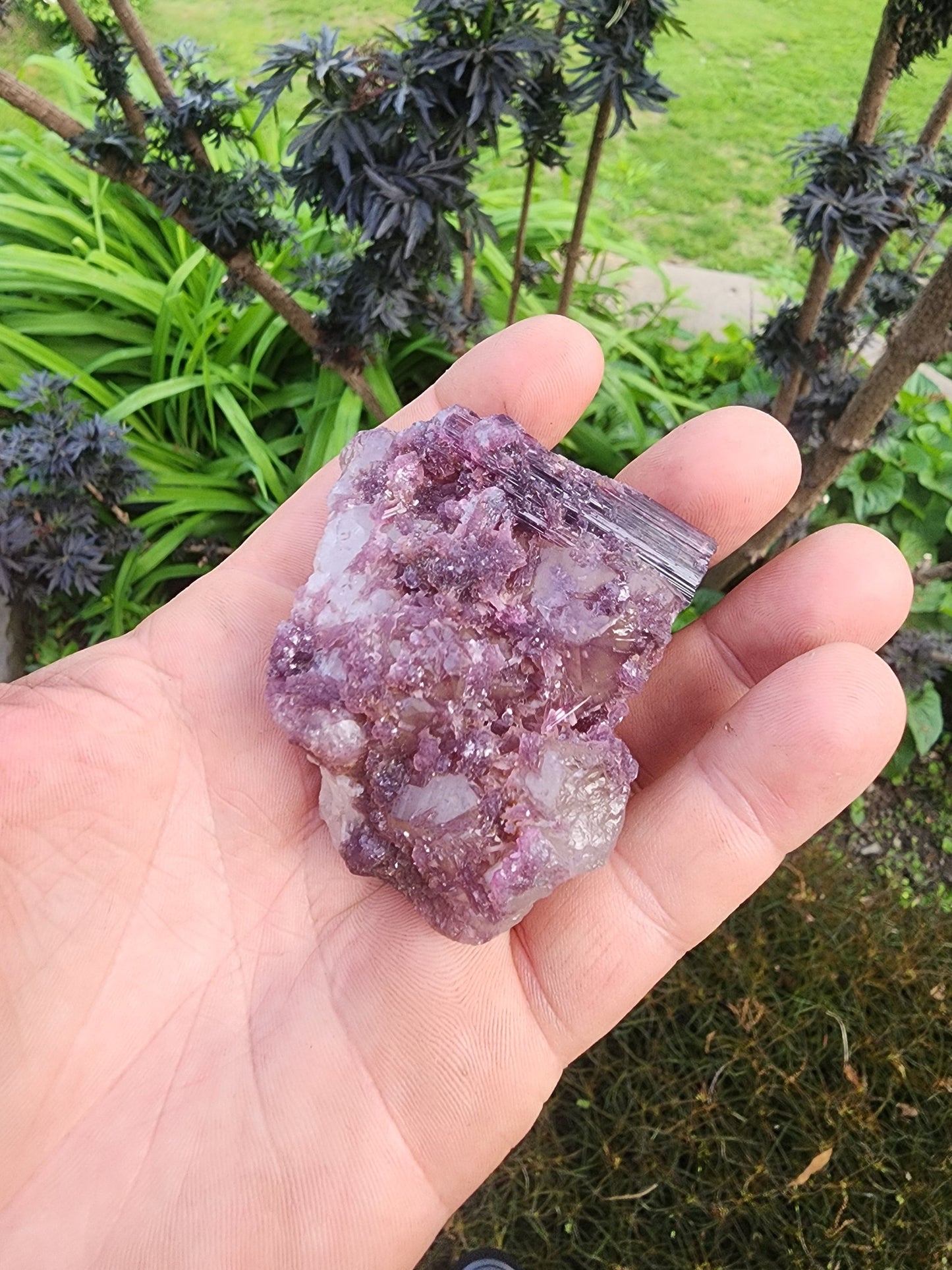 Tourmaline with Lepidolite in Quartz from Minas Gerais, Brazil