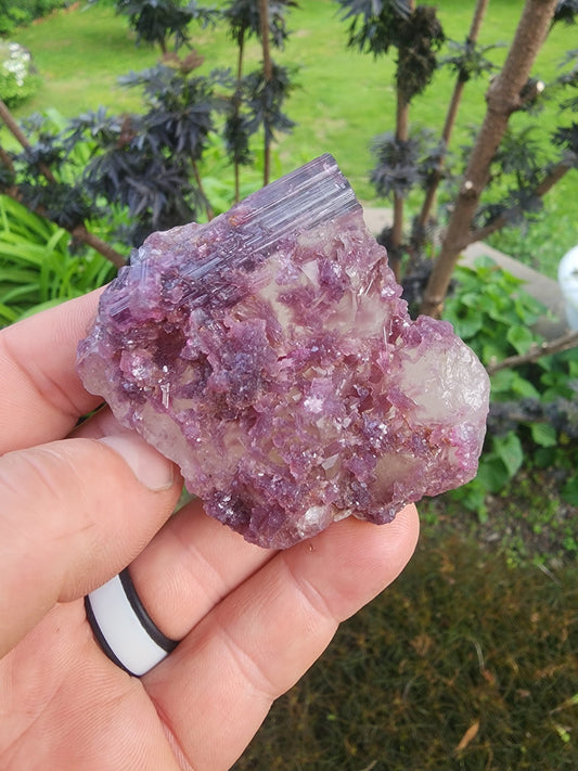 Tourmaline with Lepidolite in Quartz from Minas Gerais, Brazil