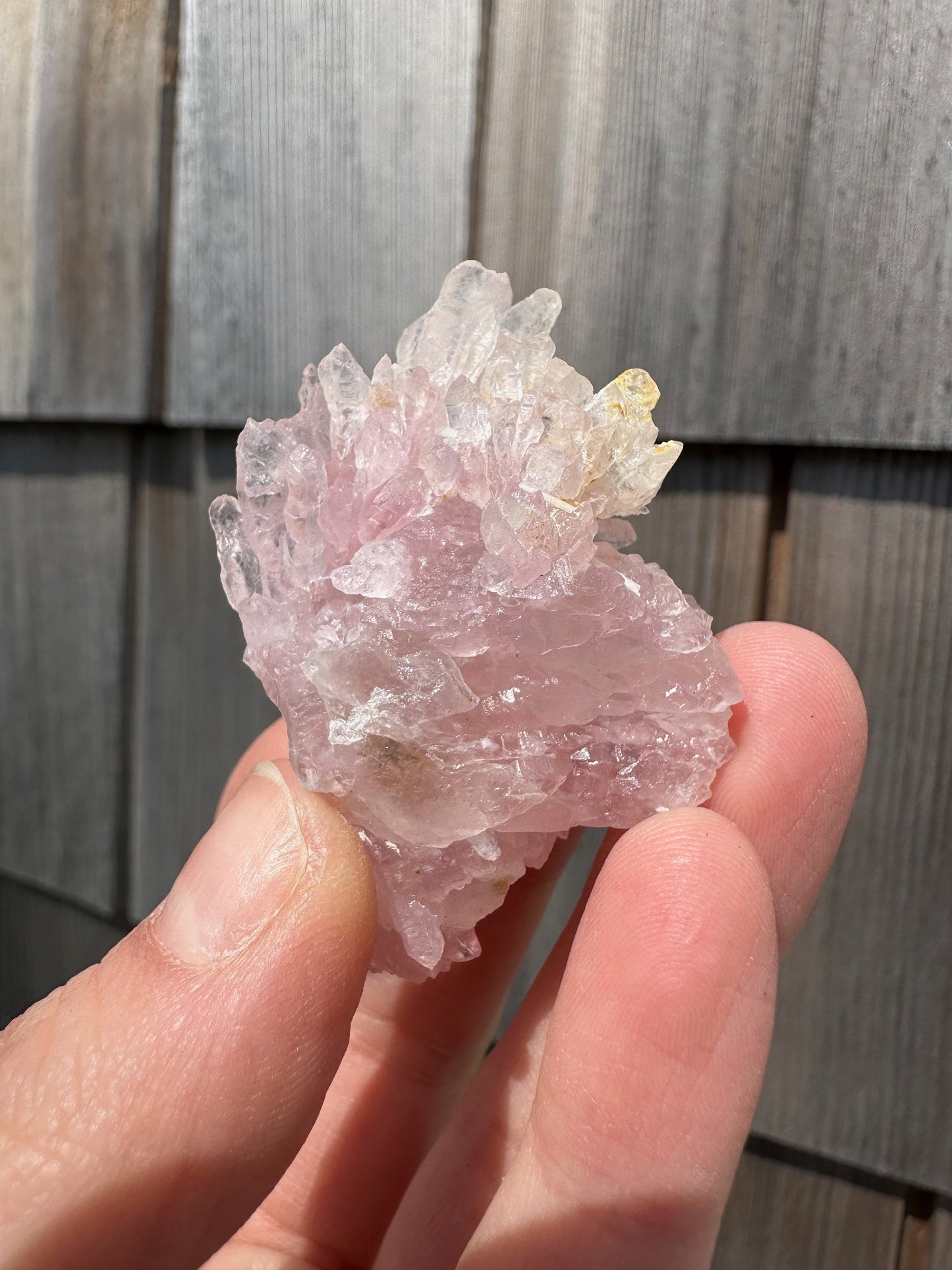 Elestial Rose Quartz Cluster from Brazil