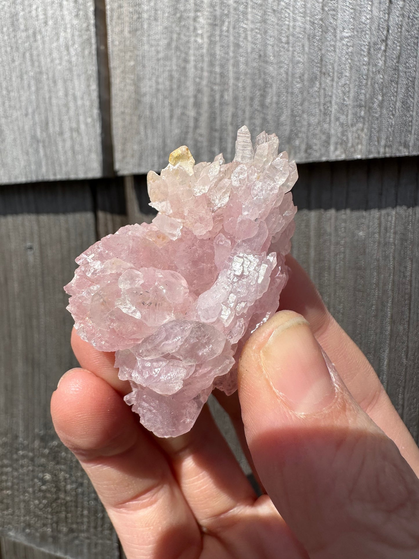 Elestial Rose Quartz Cluster from Brazil