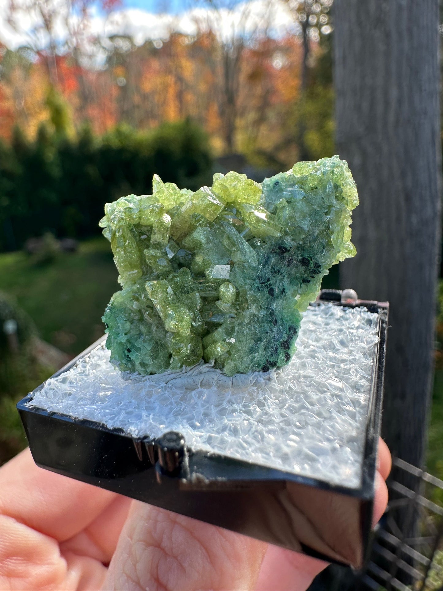 Vesuvianite Crystal Cluster from Jeffrey Mine Canada