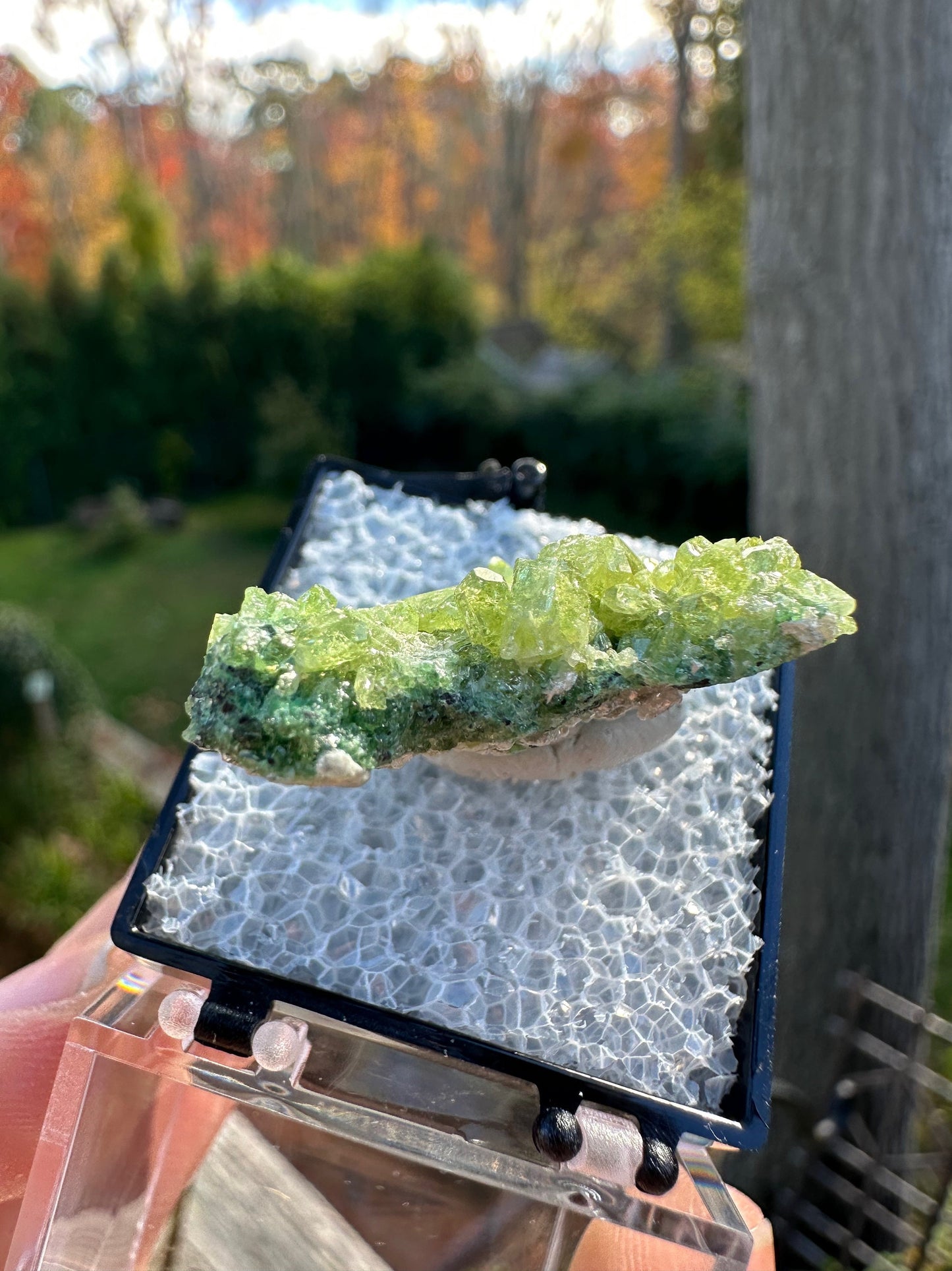 Vesuvianite Crystal Cluster from Jeffrey Mine Canada