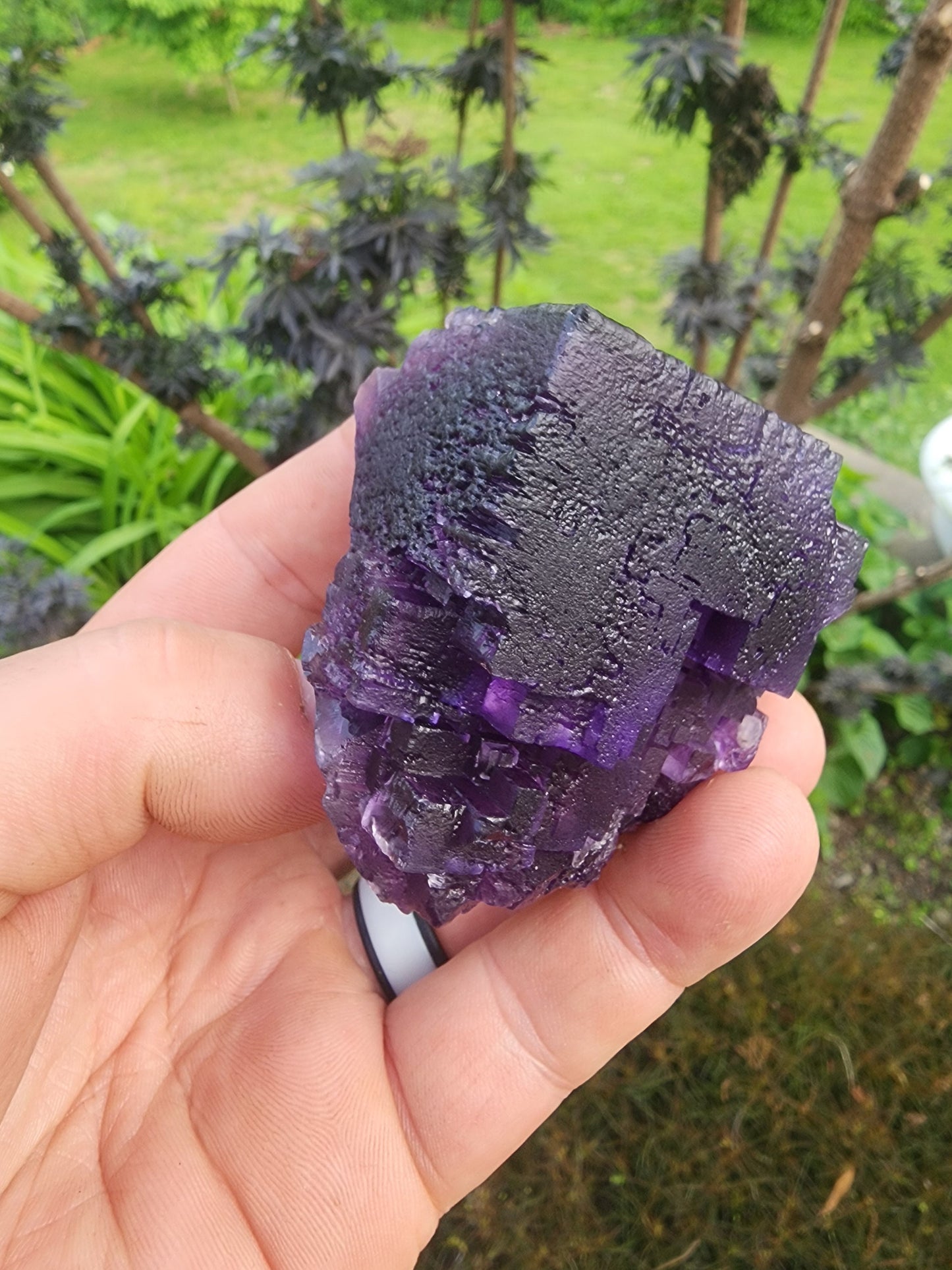 Cave-in-Rock Fluorite Crystal from Lead Hill, Hardin County, Illinois