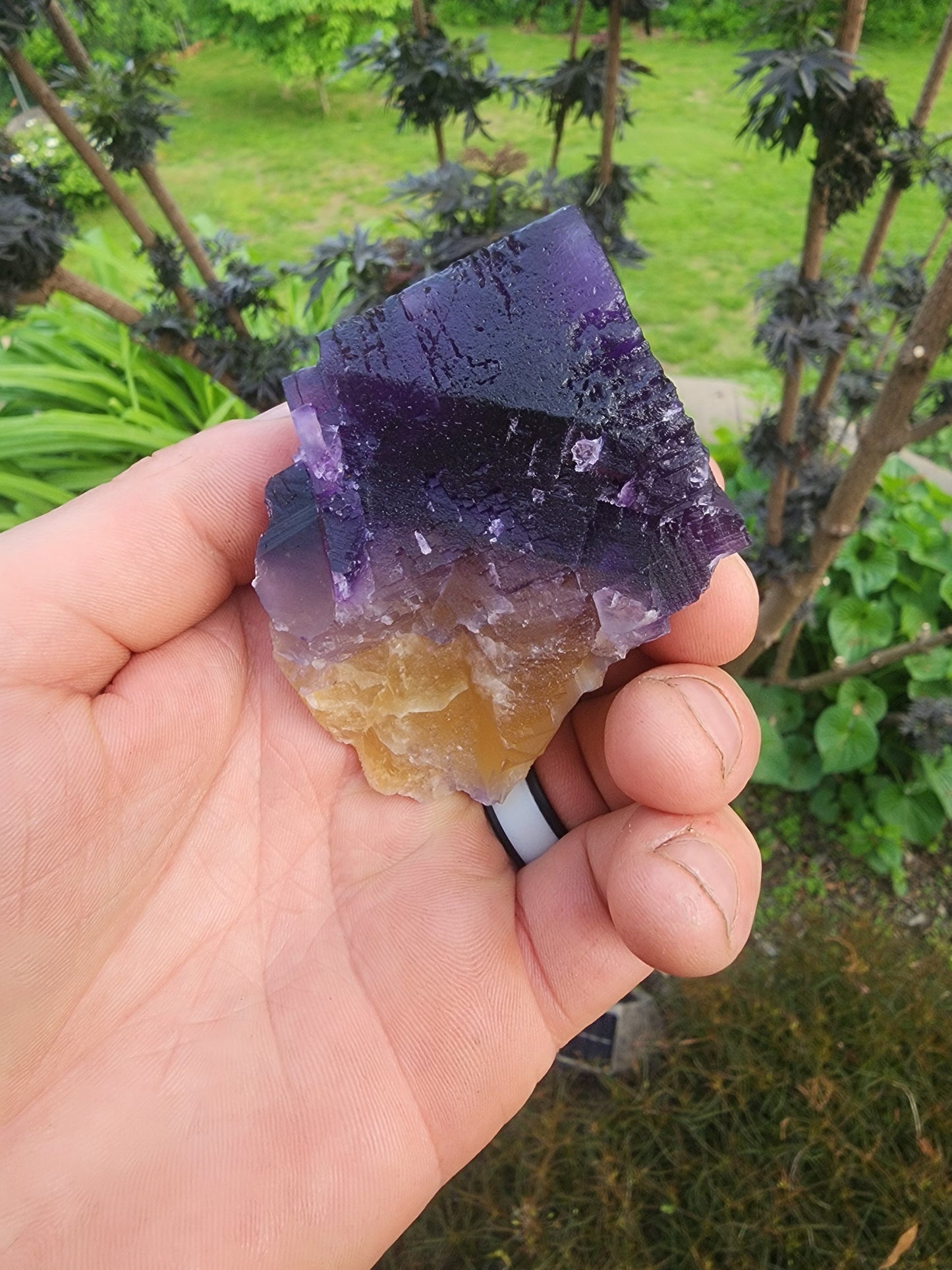 Cave-in-Rock Fluorite Crystal from Lead Hill, Hardin County, Illinois