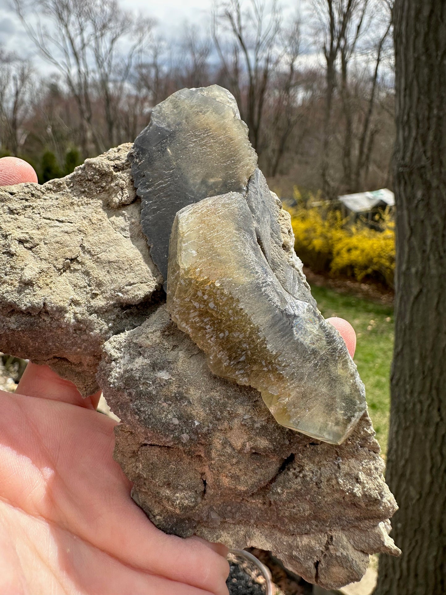 Barite Crystals on Matrix from Linwood Mine Iowa USA