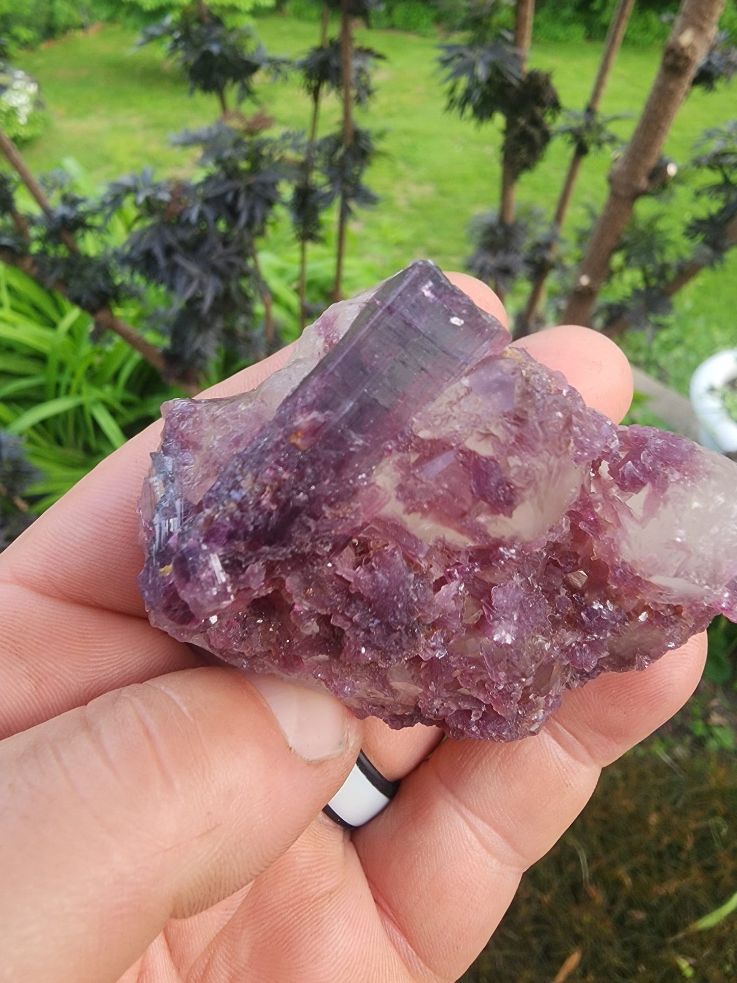 Tourmaline with Lepidolite in Quartz from Minas Gerais, Brazil