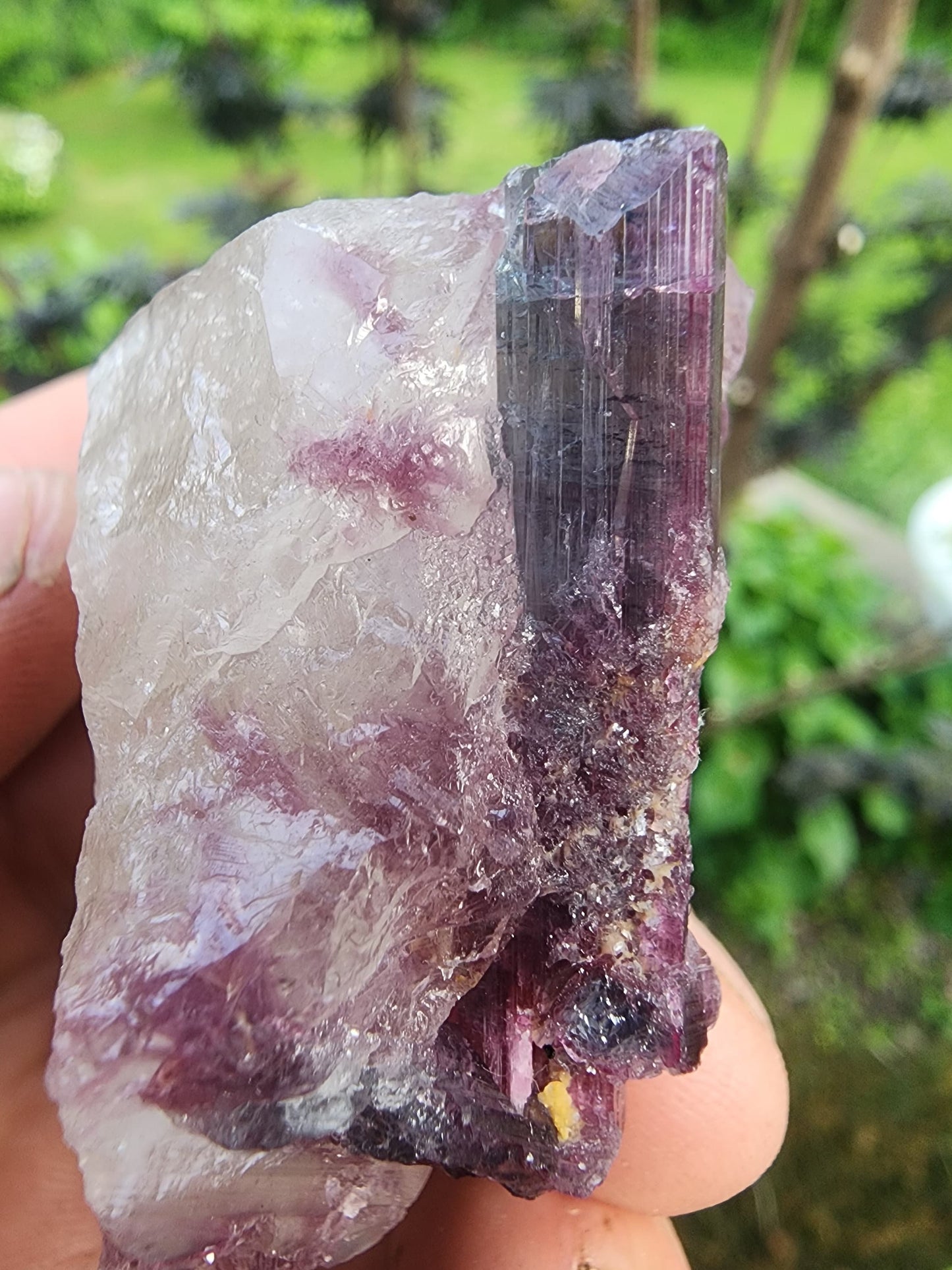 Tourmaline with Lepidolite in Quartz from Minas Gerais, Brazil