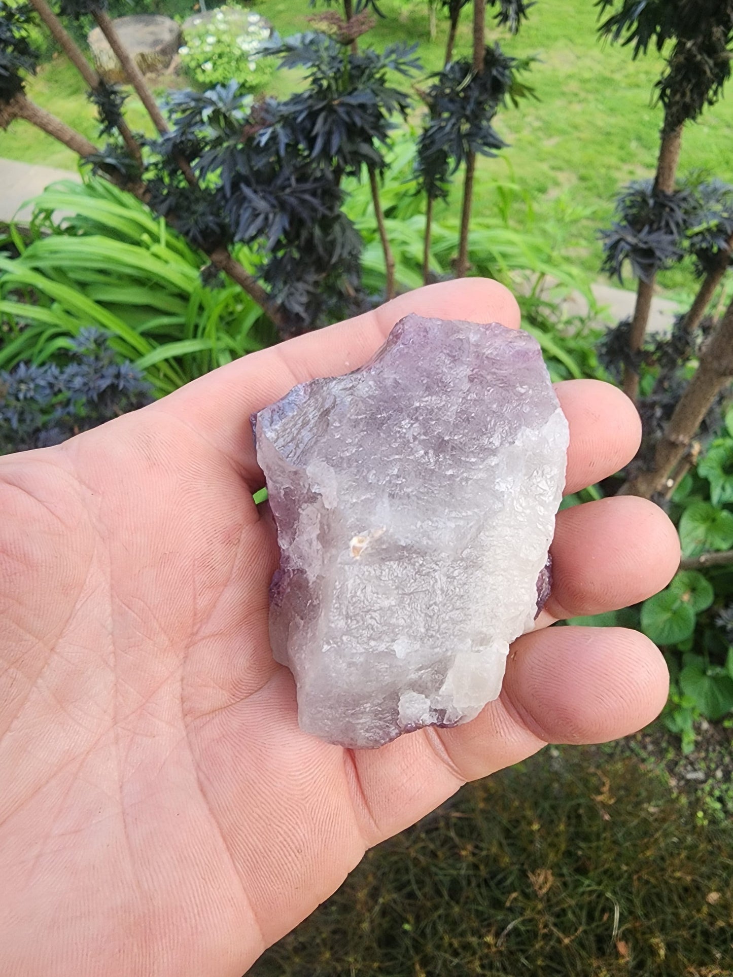 Tourmaline with Lepidolite in Quartz from Minas Gerais, Brazil