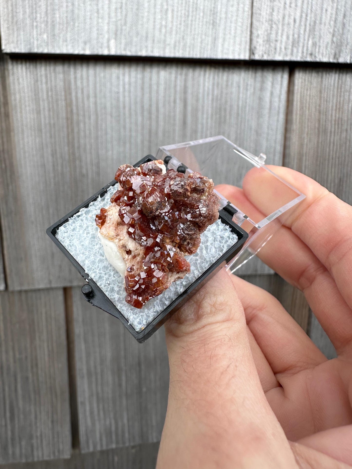 Bright Red Vanadinite Crystals on Matrix from Morocco