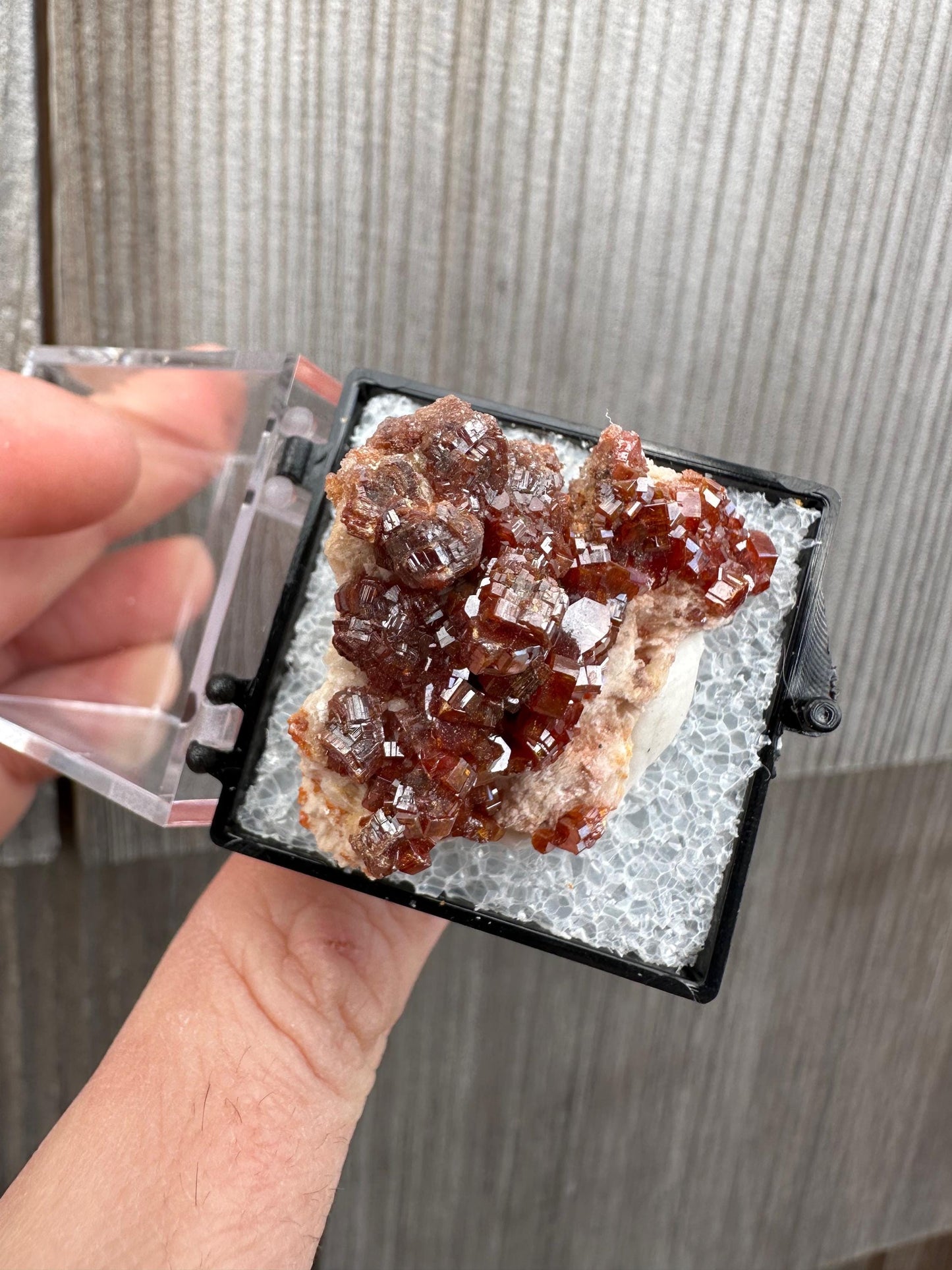 Bright Red Vanadinite Crystals on Matrix from Morocco