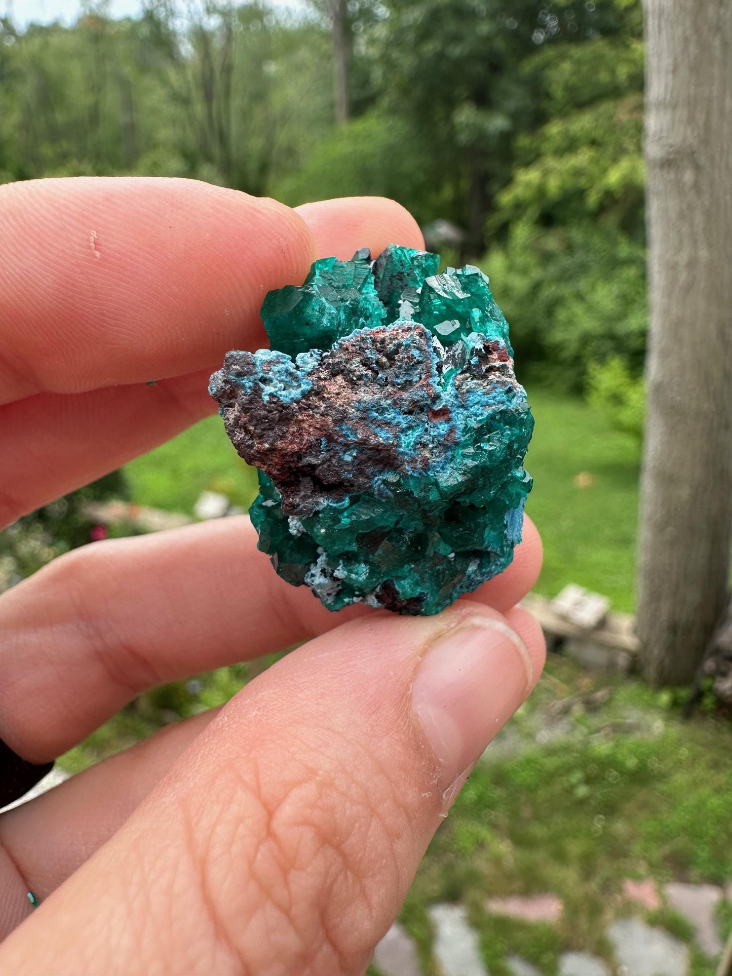 Dioptase with Shattuckite from Congo