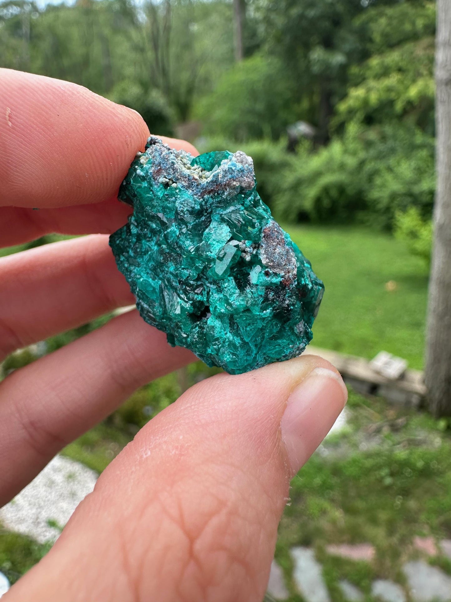 Dioptase with Shattuckite from Congo
