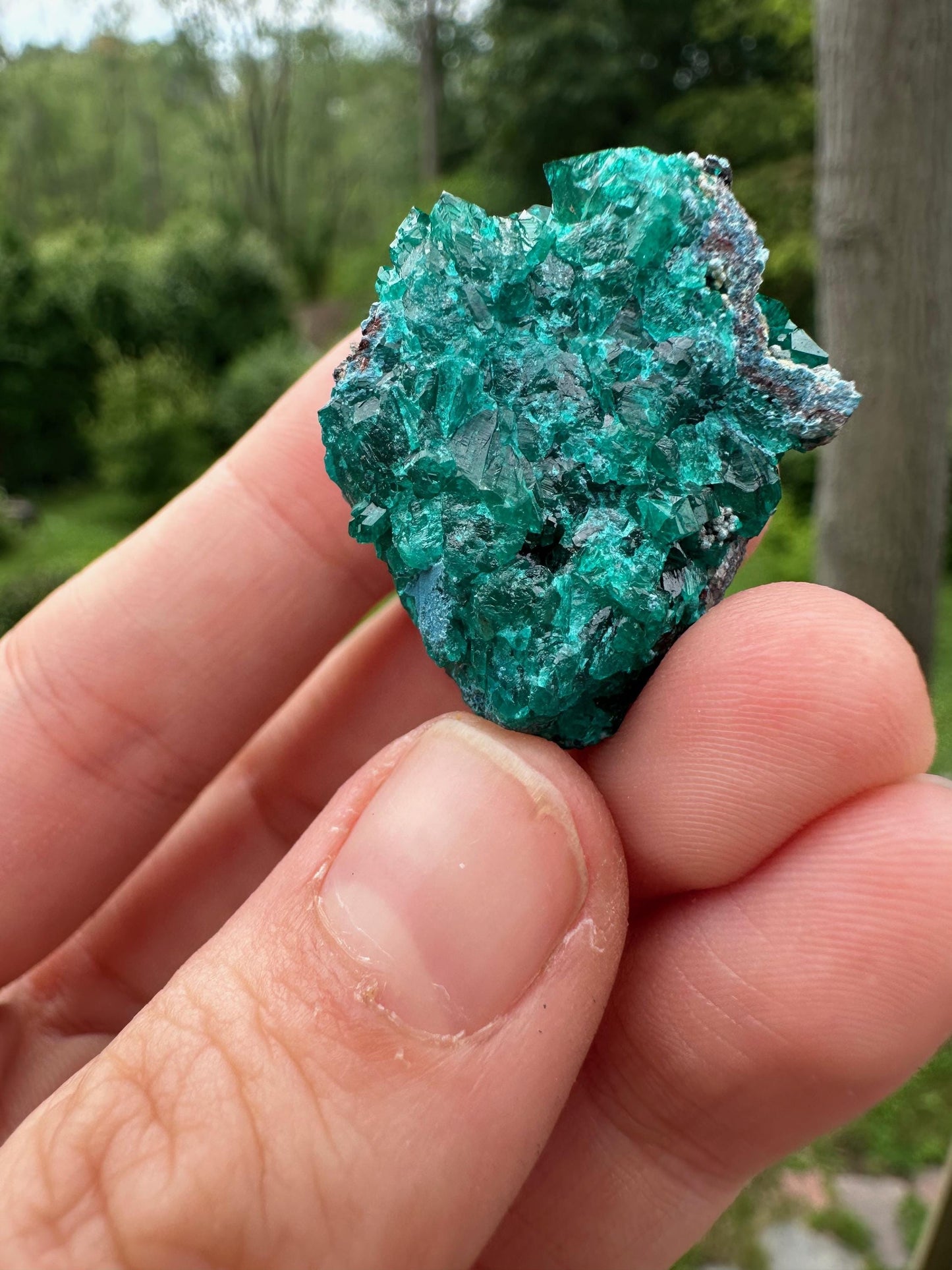 Dioptase with Shattuckite from Congo