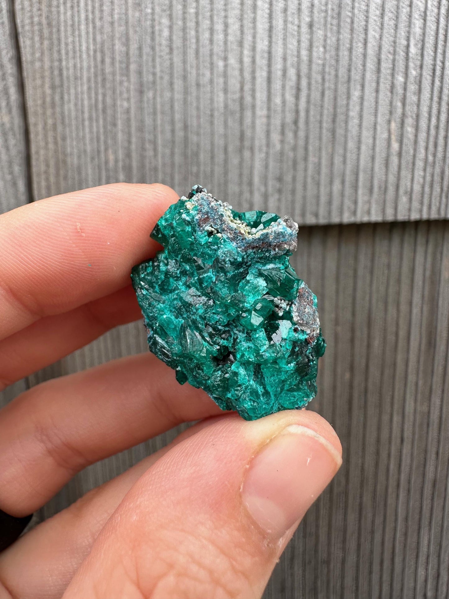 Dioptase with Shattuckite from Congo