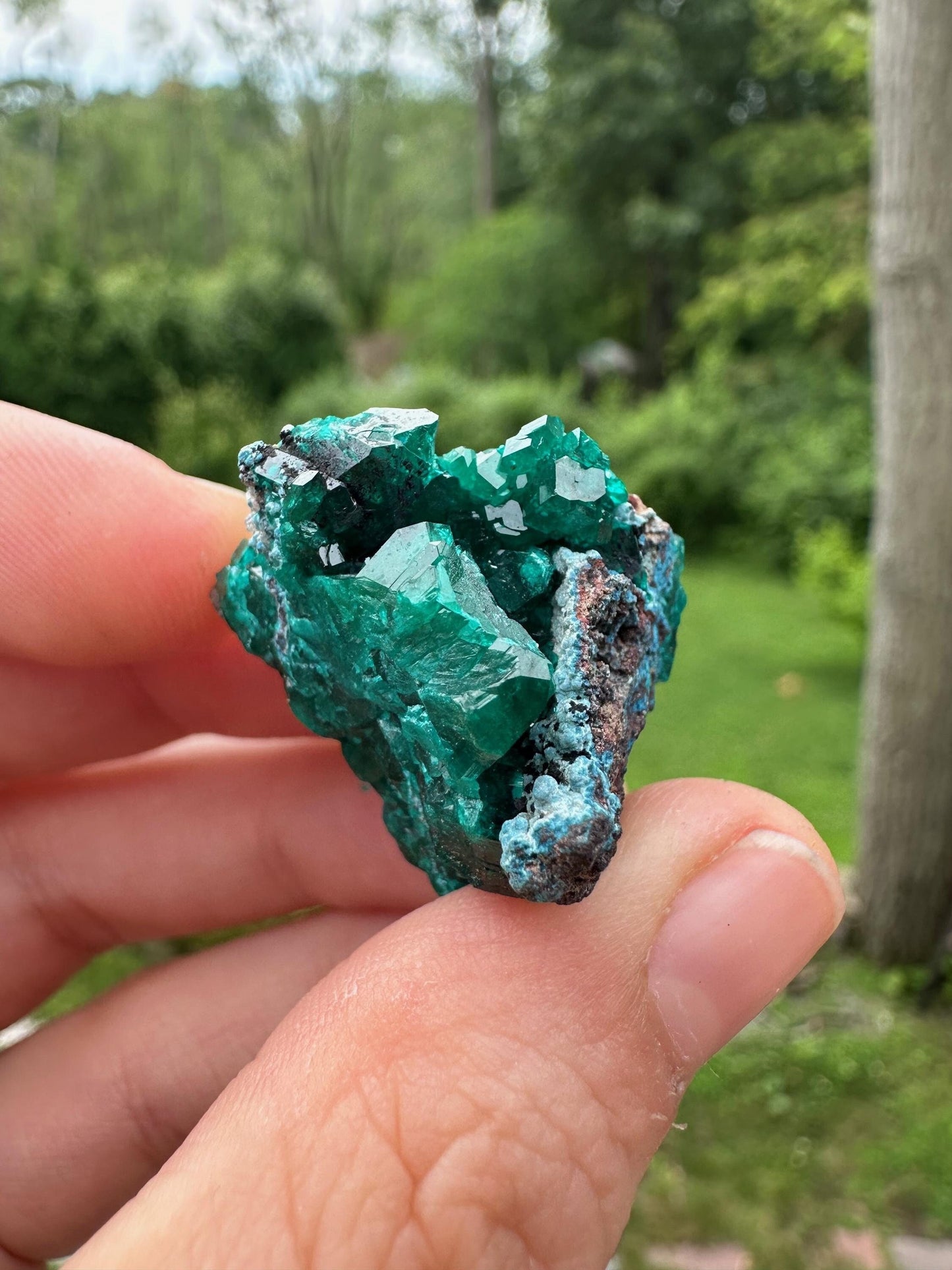 Dioptase with Shattuckite from Congo