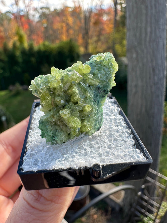 Vesuvianite Crystal Cluster from Jeffrey Mine Canada
