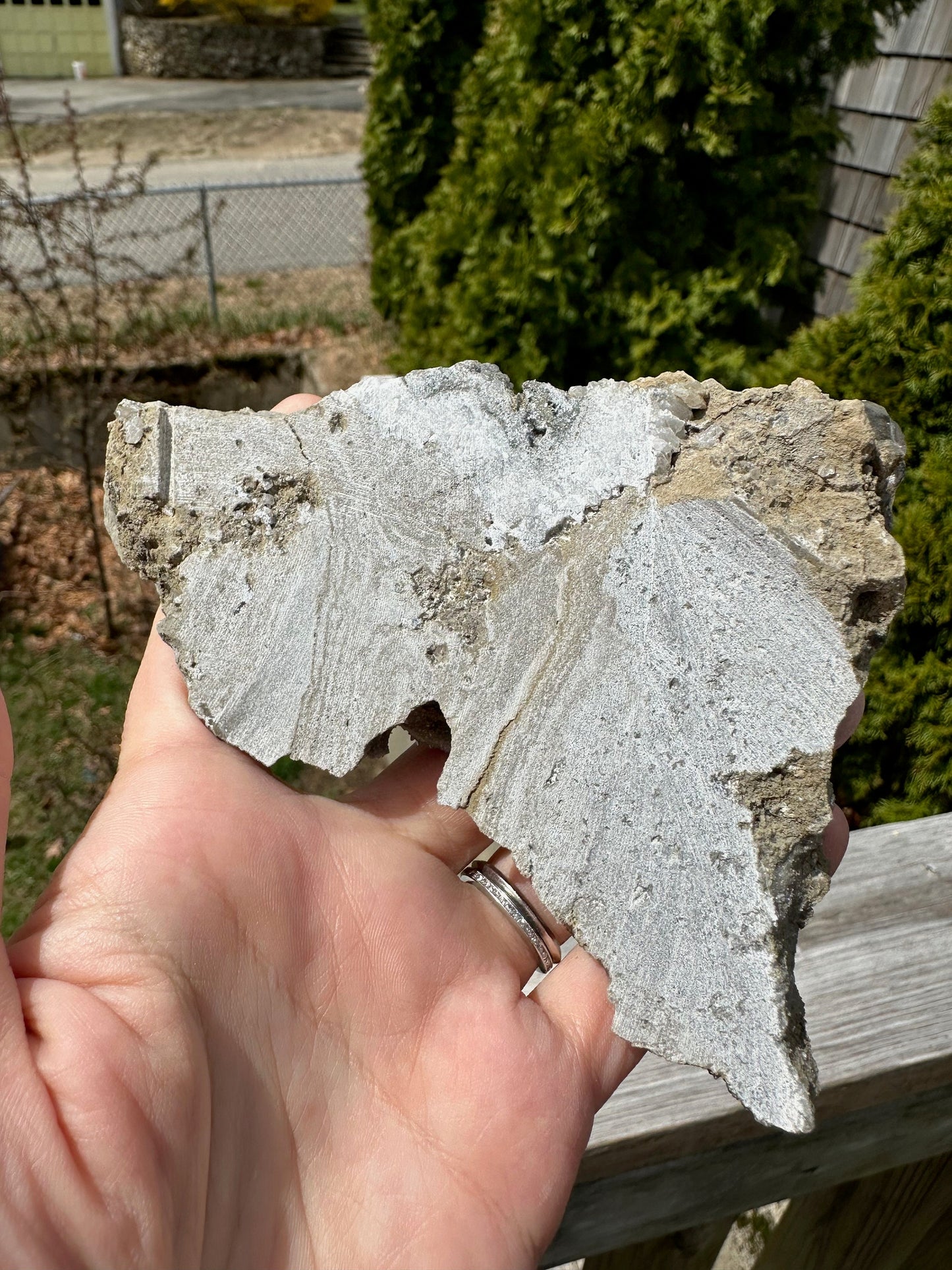 Barite Crystals on Matrix from Linwood Mine Iowa USA