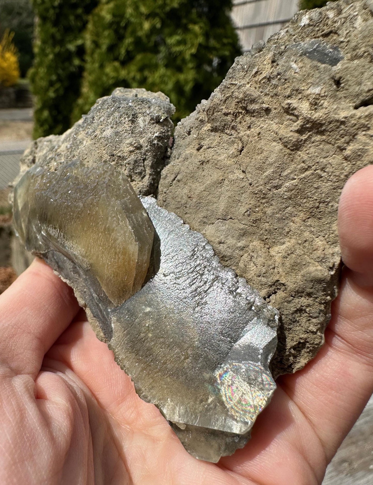 Barite Crystals on Matrix from Linwood Mine Iowa USA