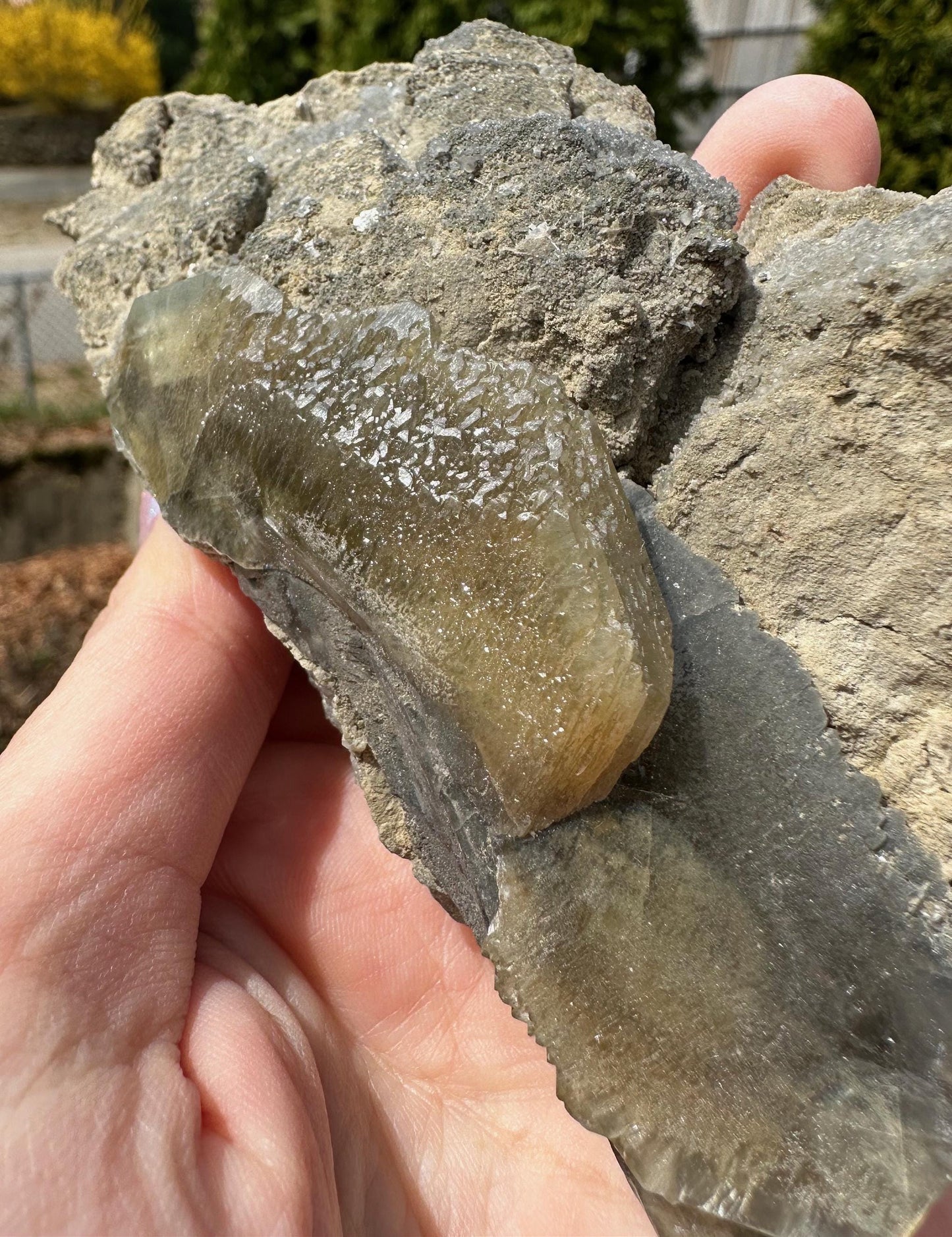 Barite Crystals on Matrix from Linwood Mine Iowa USA