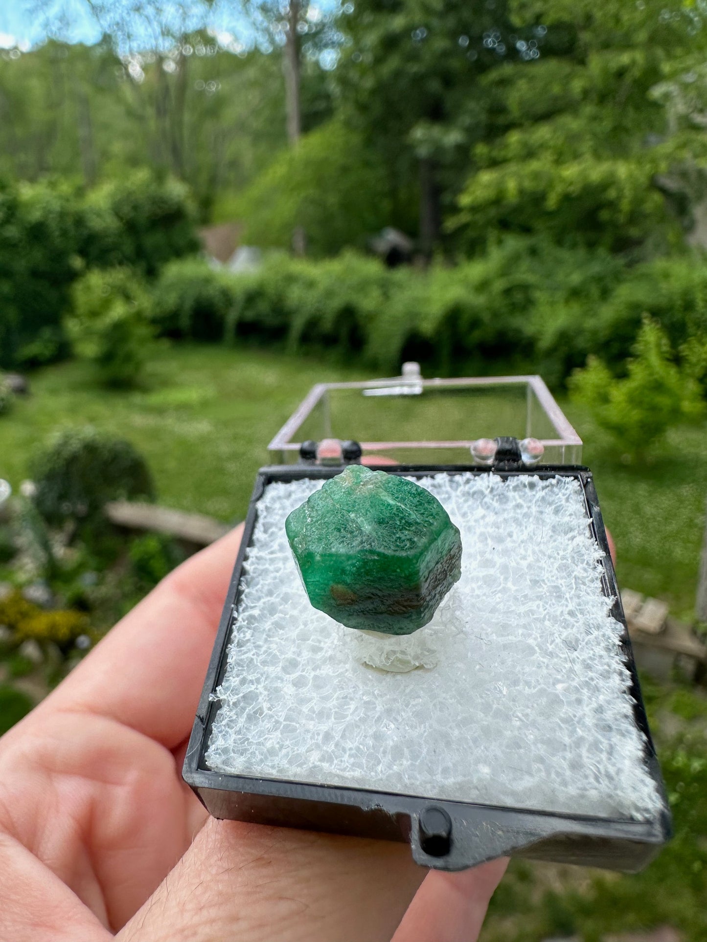 Terminated Emerald Crystal from Pakistan