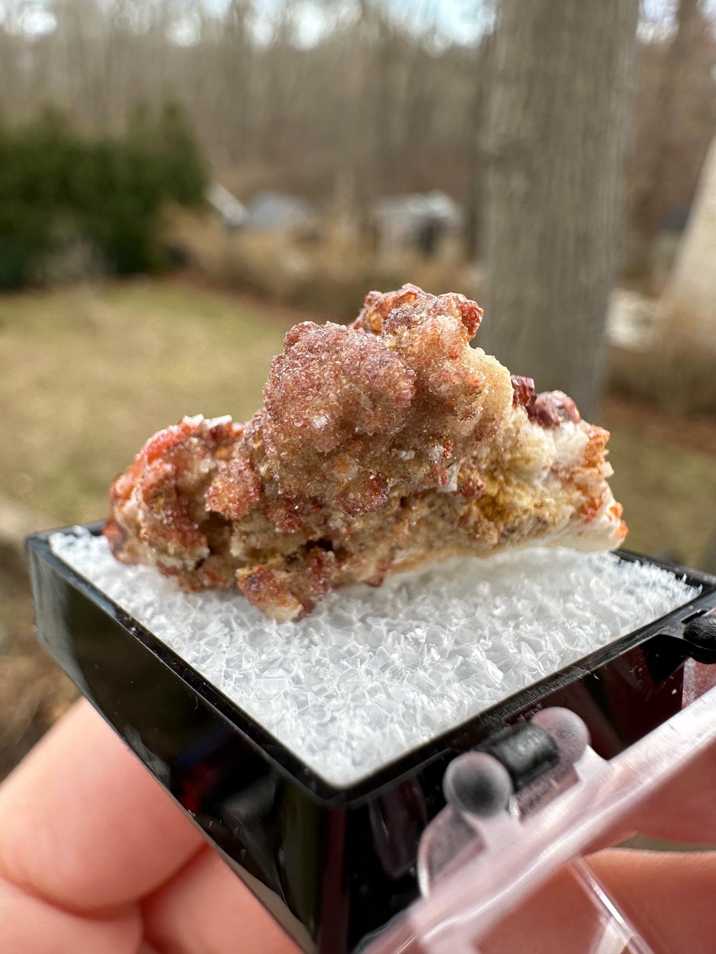Bright Red Vanadinite Crystals on Matrix from Morocco