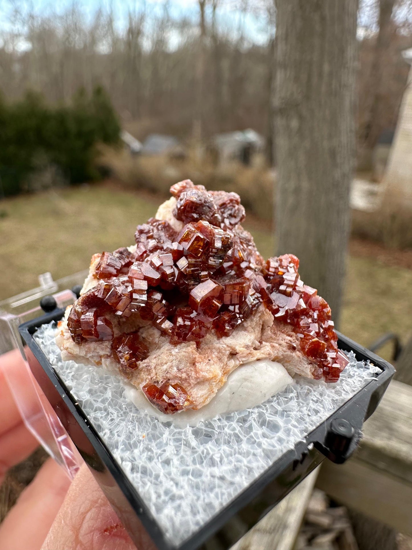 Bright Red Vanadinite Crystals on Matrix from Morocco