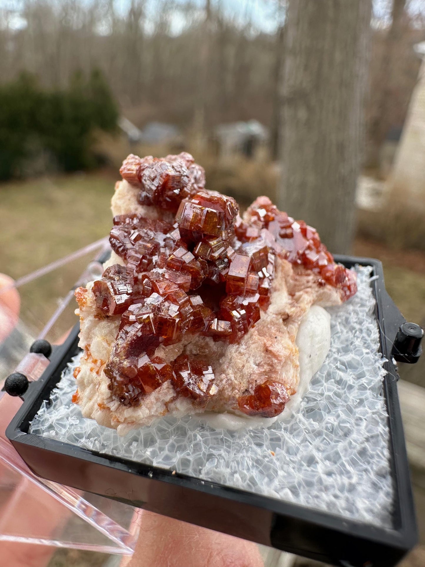 Bright Red Vanadinite Crystals on Matrix from Morocco
