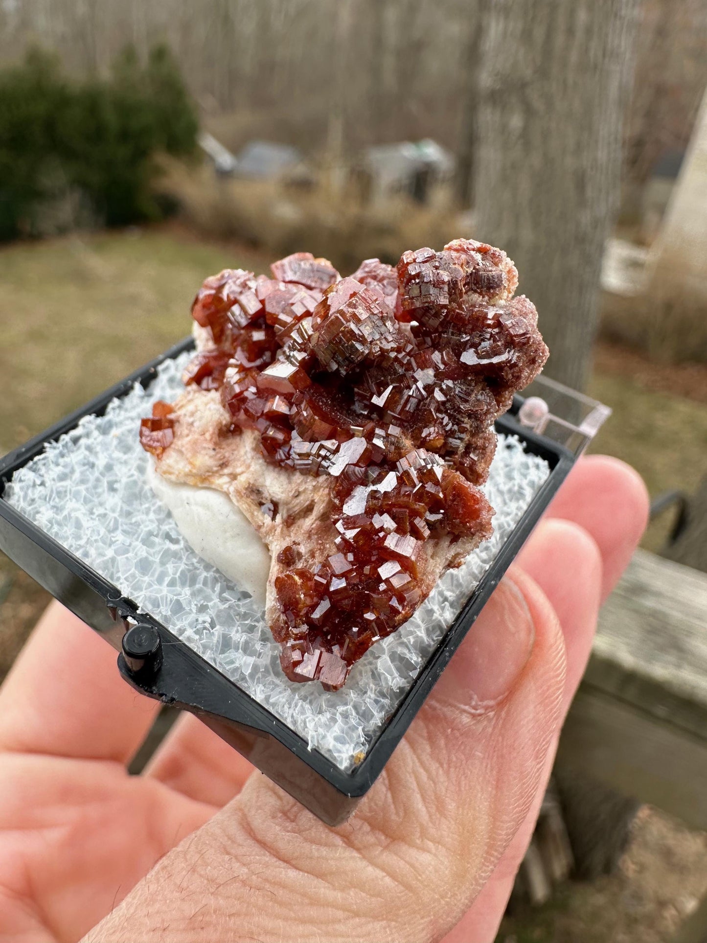 Bright Red Vanadinite Crystals on Matrix from Morocco