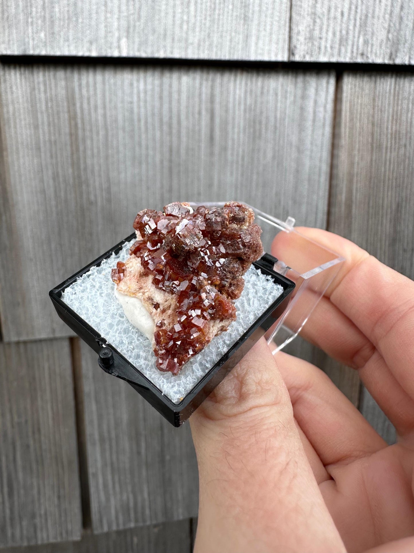 Bright Red Vanadinite Crystals on Matrix from Morocco