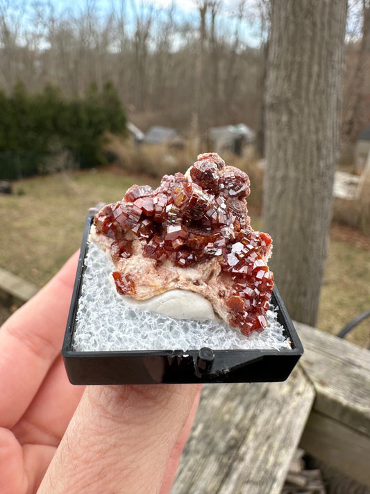 Bright Red Vanadinite Crystals on Matrix from Morocco