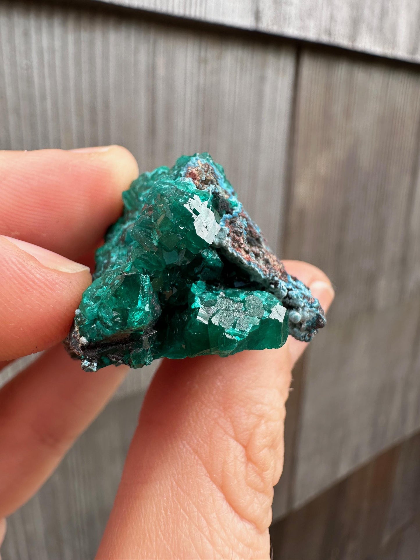Dioptase with Shattuckite from Congo