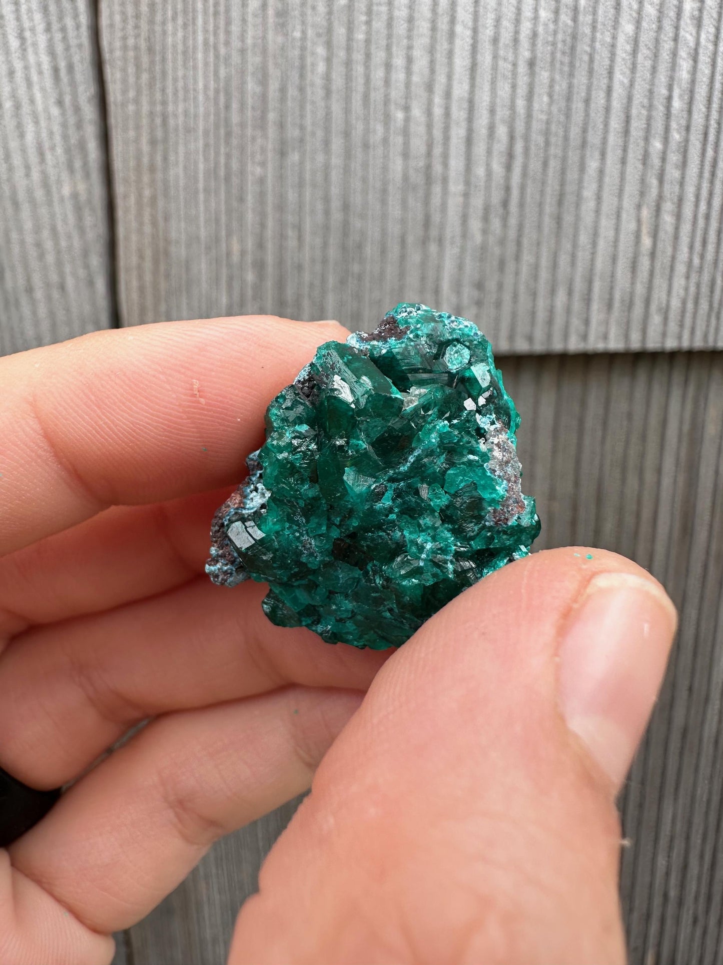 Dioptase with Shattuckite from Congo