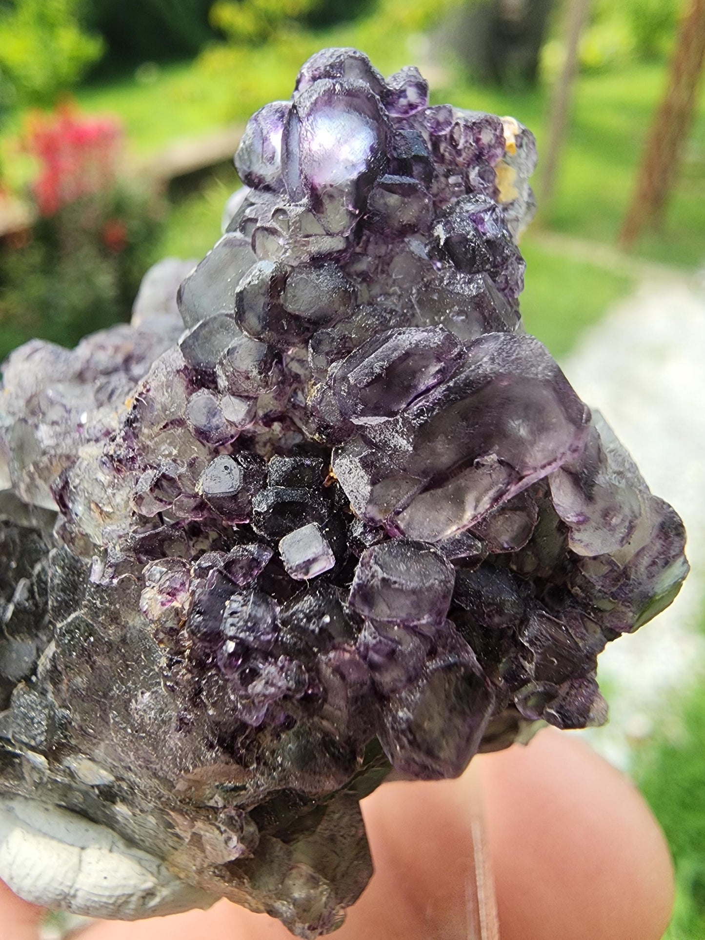 Fluorite w/ Goshenite from Erongo, Namibia