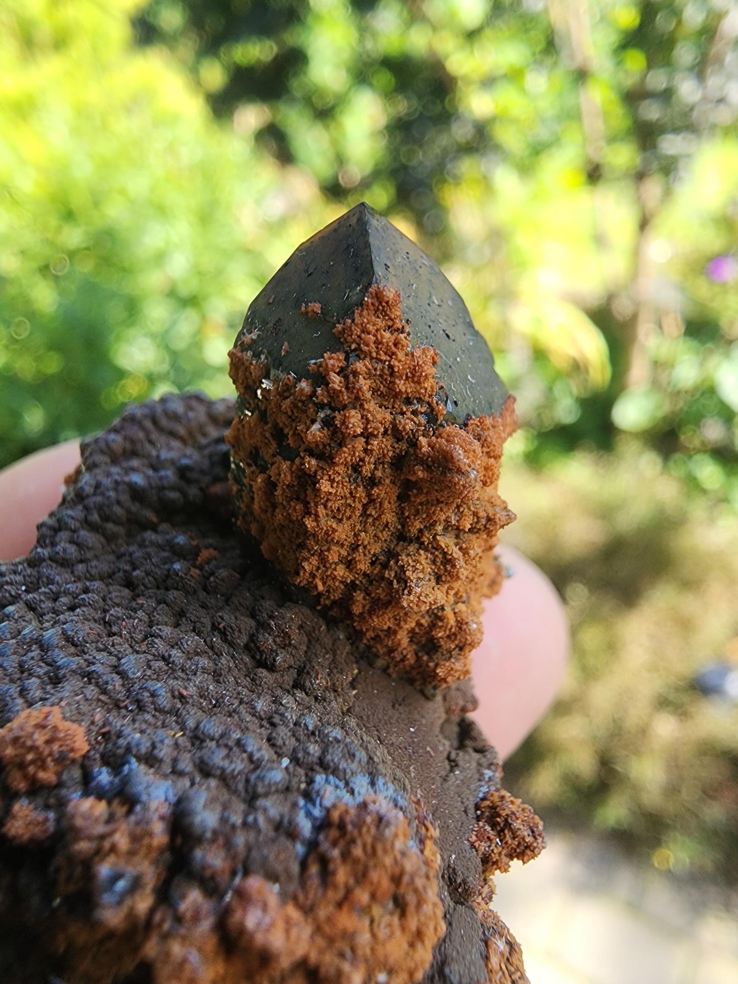 Prase Quartz from Potosi mine, Chihuahua, Mexico