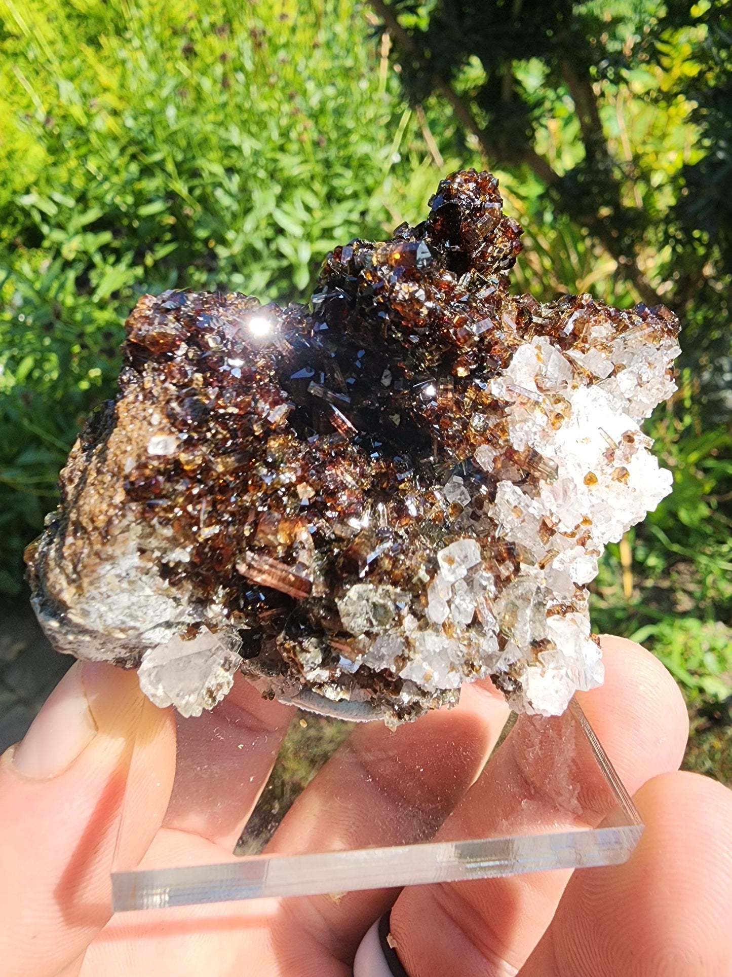 Tourmaline var. Dravite with Magnesite from Brumado, Bahia, Brazil