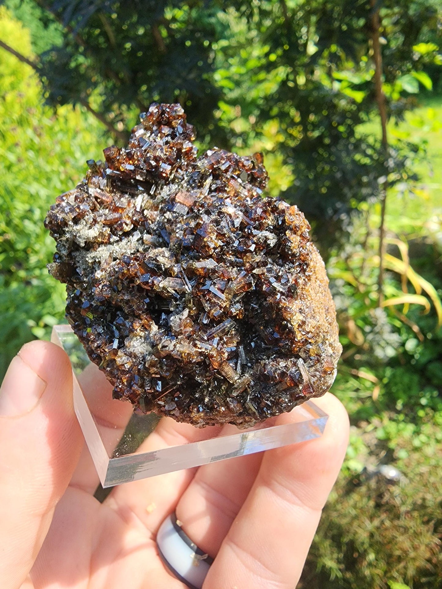 Tourmaline var. Dravite with Magnesite from Brumado, Bahia, Brazil