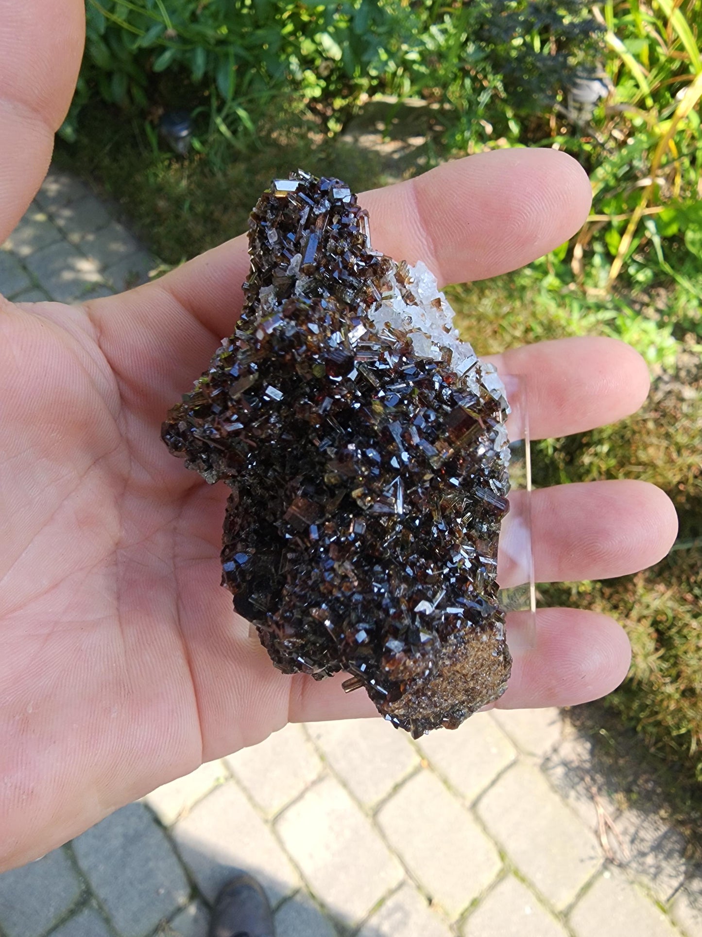 Tourmaline var. Dravite with Magnesite from Brumado, Bahia, Brazil