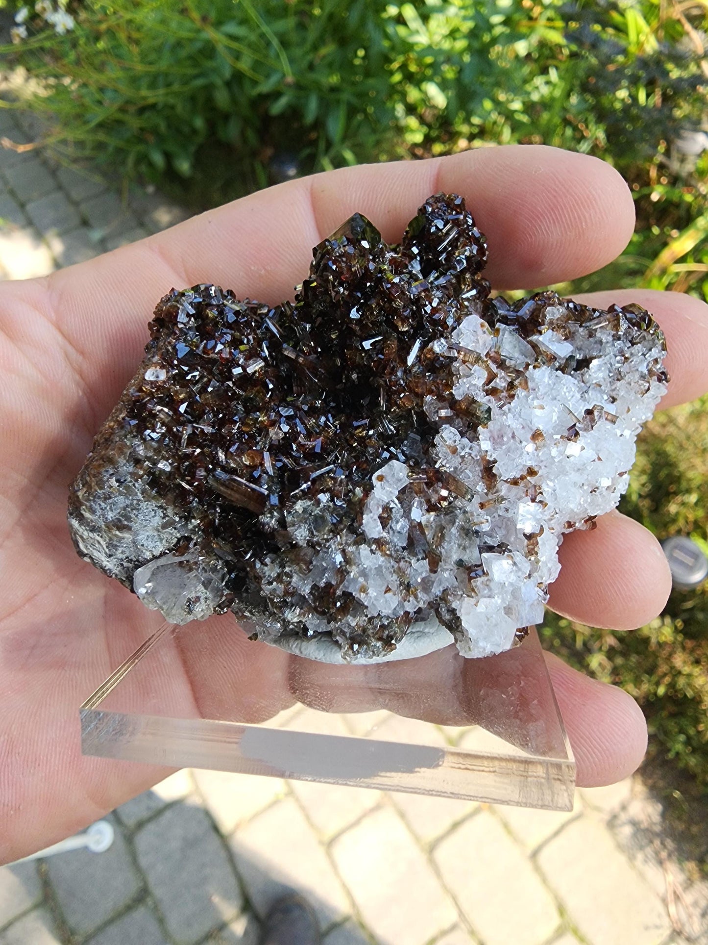 Tourmaline var. Dravite with Magnesite from Brumado, Bahia, Brazil