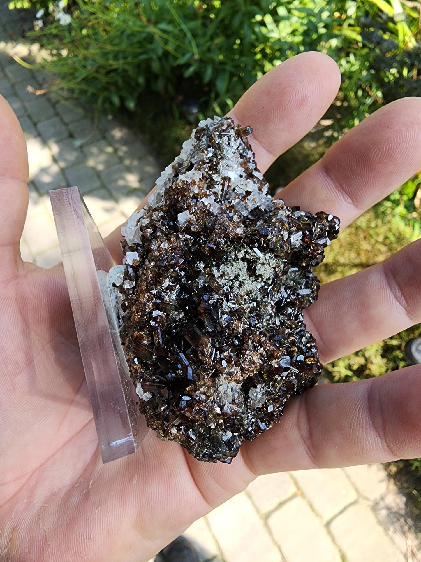 Tourmaline var. Dravite with Magnesite from Brumado, Bahia, Brazil