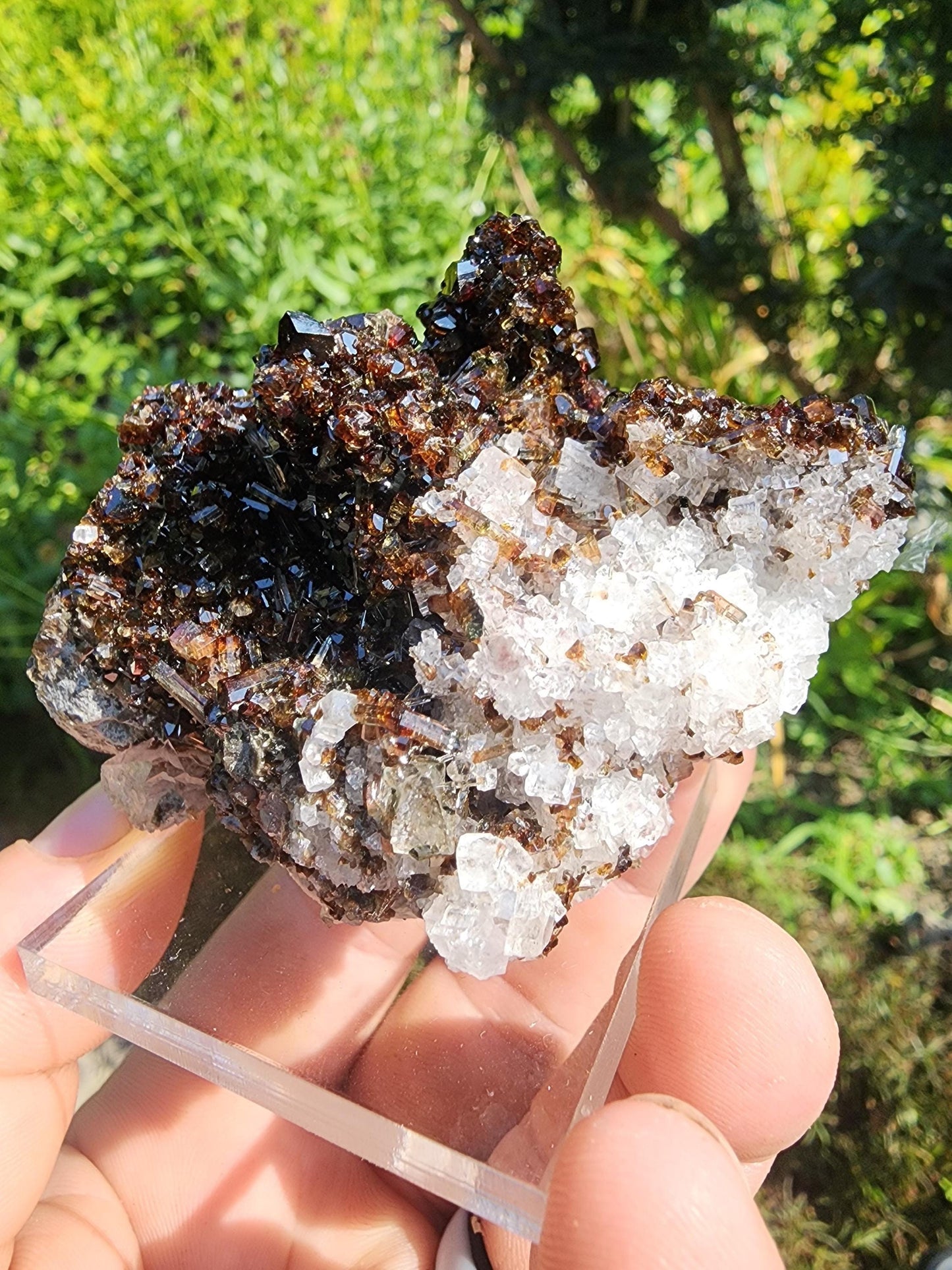Tourmaline var. Dravite with Magnesite from Brumado, Bahia, Brazil