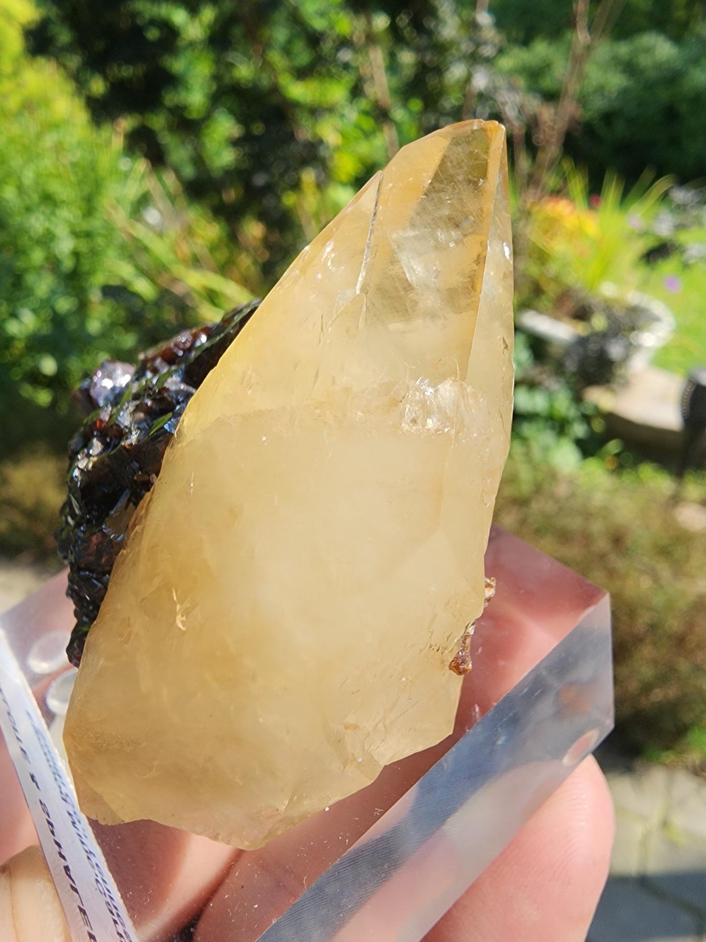 Sphalerite with Calcite from Elmwood Mine, Tennessee