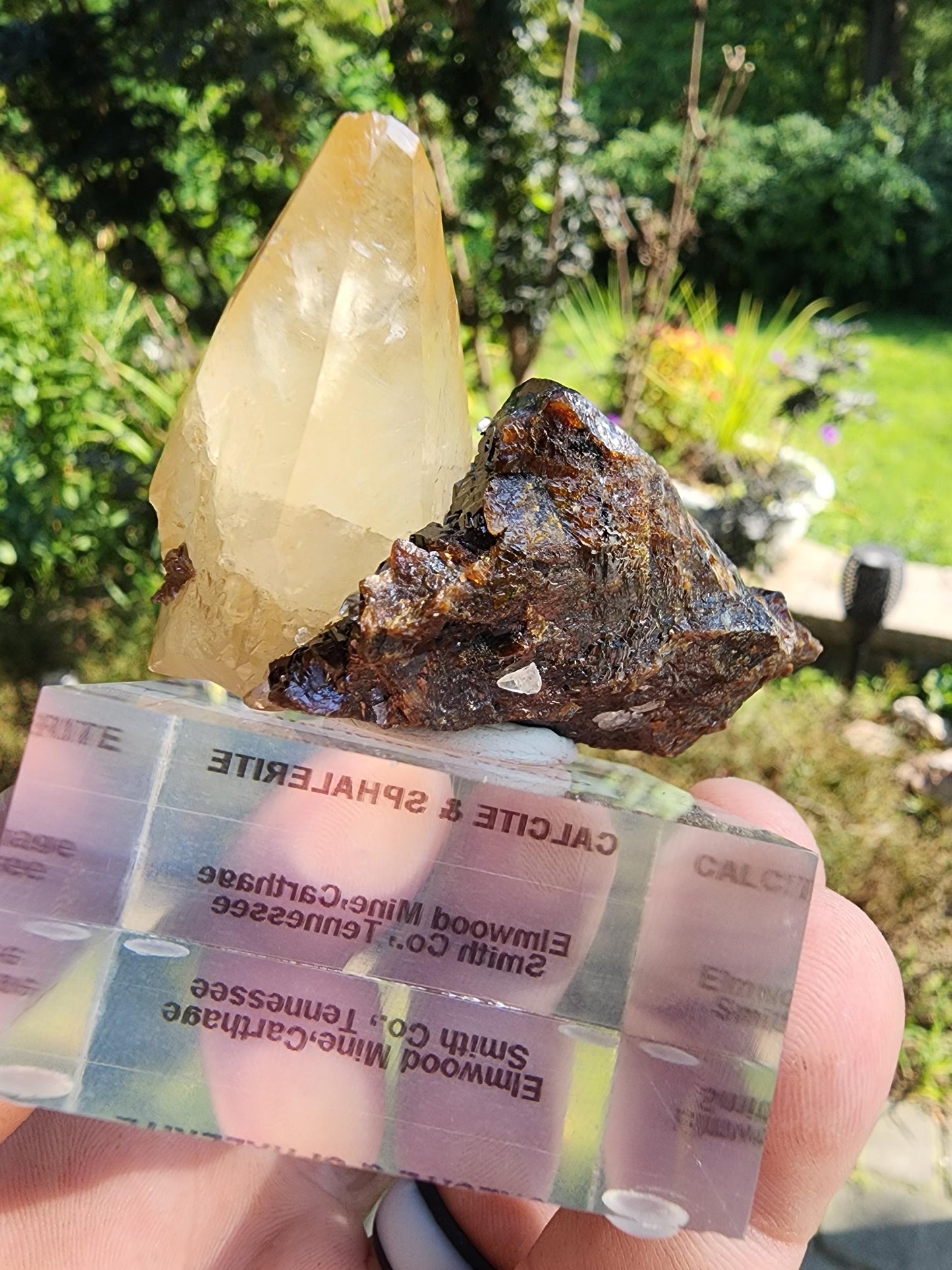 Sphalerite with Calcite from Elmwood Mine, Tennessee