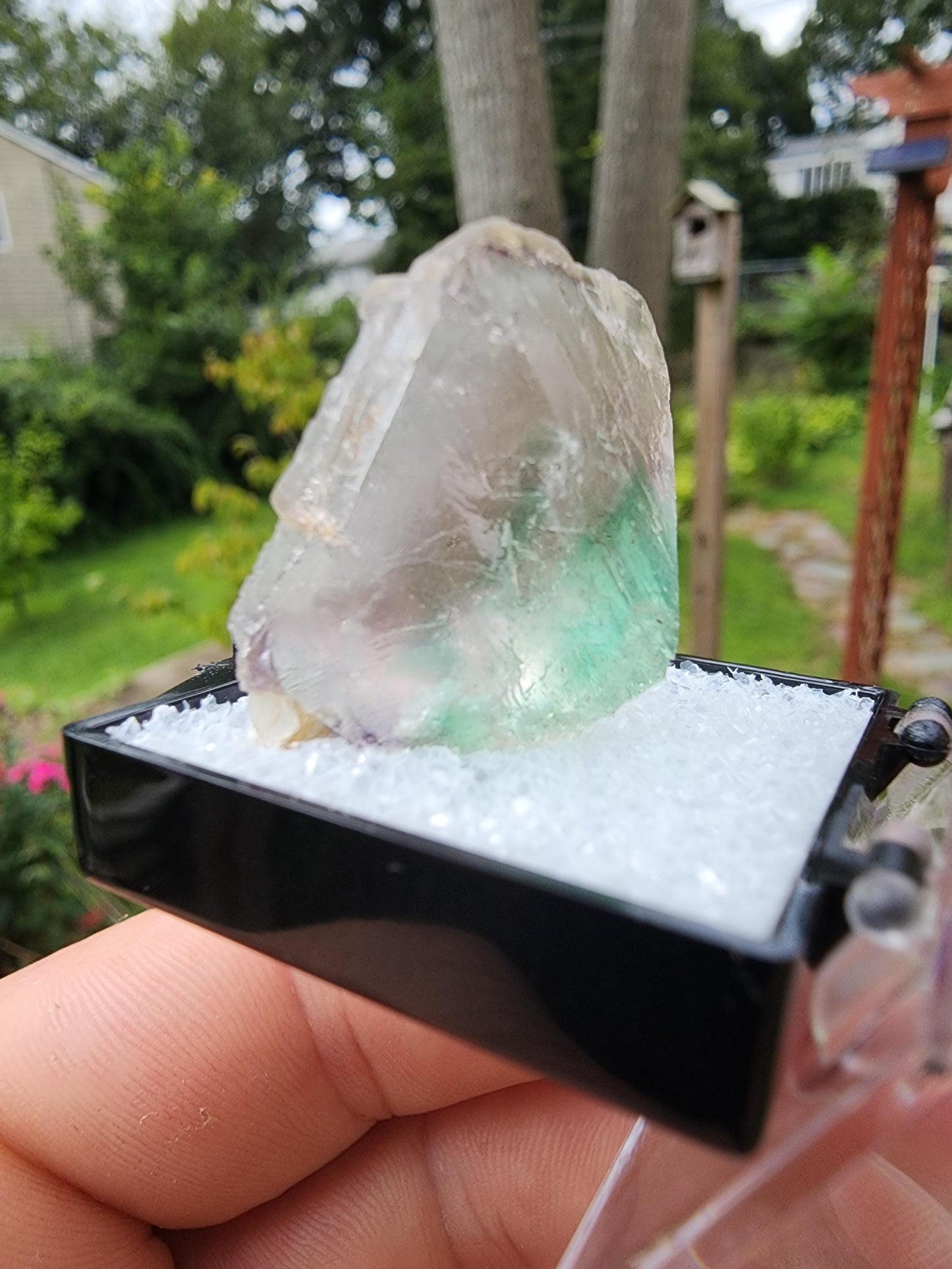 Fluorite Crystal from Erongo, Namibia