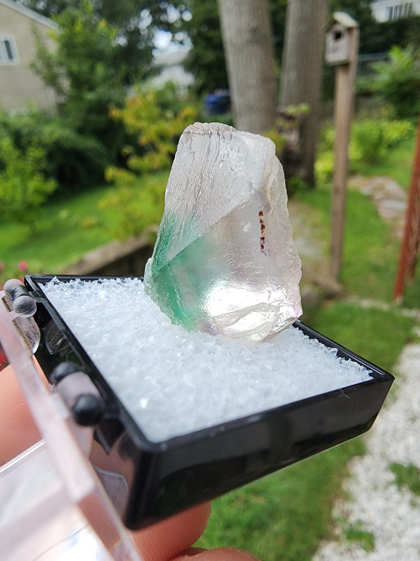 Fluorite Crystal from Erongo, Namibia