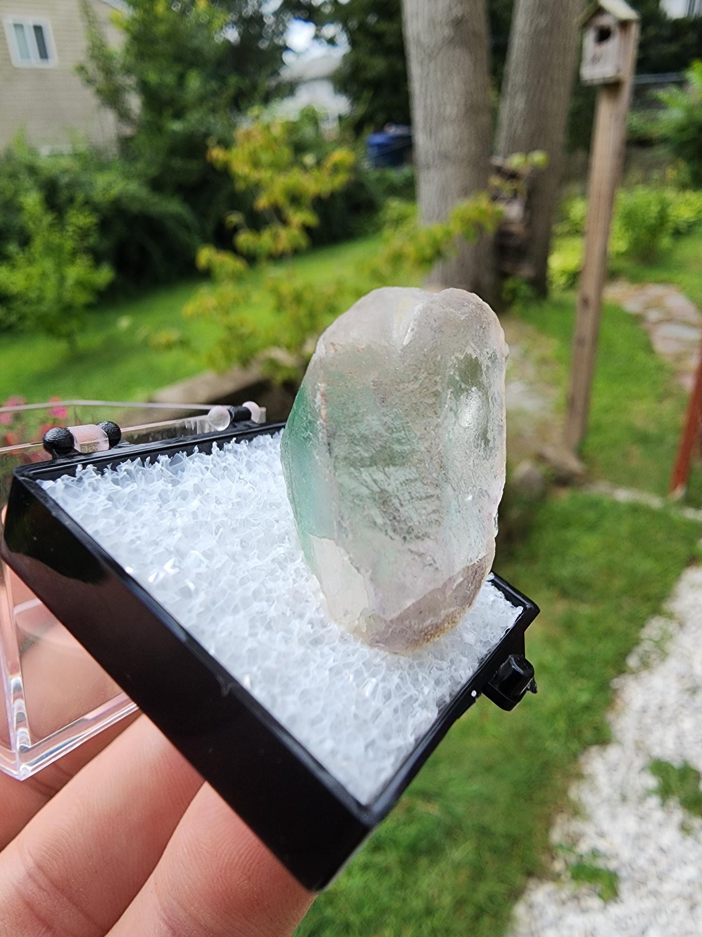Fluorite Crystal from Erongo, Namibia