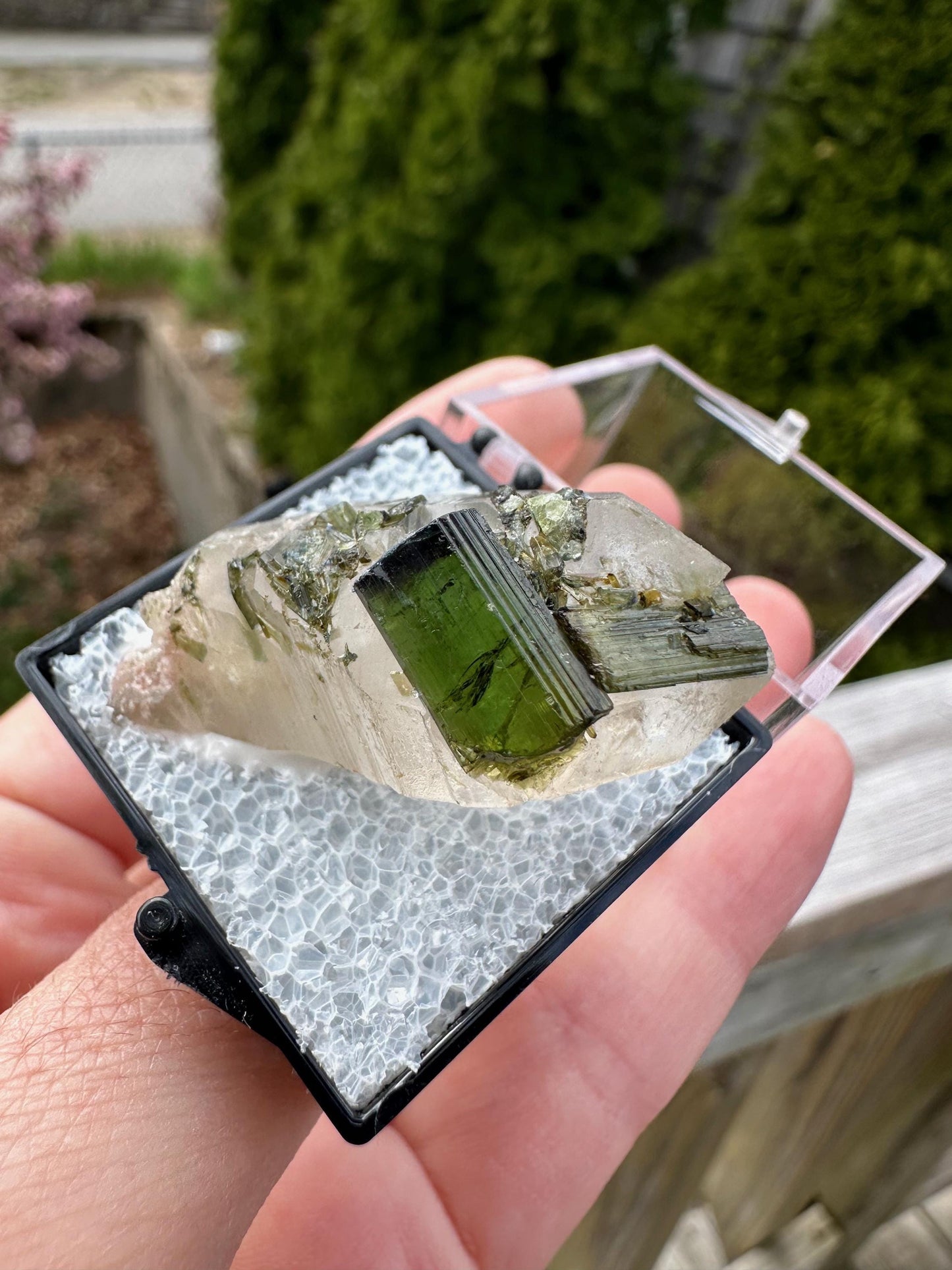 Tourmaline on and in Quartz Point from Sao Jose Da Safira Brazil